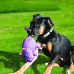 Clearance Hundebamse Phatz Næsehorn - bamse til hunde Hundelegetøj Til Alle Hunde Leg Og Aktivering Året Rundt|Legetøj Til Hvalpe - Sjov Leg, Aktivering Og Tryghed Fra Første Dag