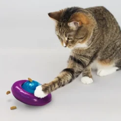 Online Kattelegetøj Infused Cat Gyro Killingelegetøj - Sjov, Træning Og Aktivering For Killinger|Kattelegetøj