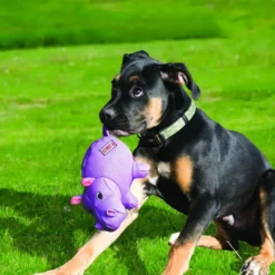 Phatz Flodhest Medium - robust bamse hundelegetøj Hundelegetøj Til Alle Hunde Leg Og Aktivering Året Rundt|Legetøj Til Hvalpe - Sjov Leg, Aktivering Og Tryghed Fra Første Dag