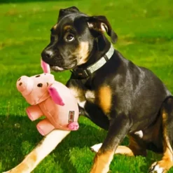 Clearance Phatz Pig M 18x11x11 cm - robust gris bamse til hunde Hundelegetøj Til Alle Hunde Leg Og Aktivering Året Rundt|Legetøj Til Hvalpe - Sjov Leg, Aktivering Og Tryghed Fra Første Dag