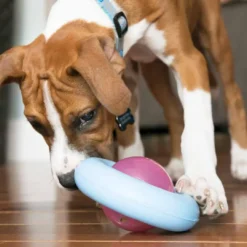 Best Puppy Gyro Mix 7,5x13x13 cm - snacklegetøj til hvalpe Hundelegetøj Til Alle Hunde Leg Og Aktivering Året Rundt|Legetøj Til Hvalpe - Sjov Leg, Aktivering Og Tryghed Fra Første Dag