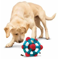 Discount Rewards Tinker M/L 14,5 cm - snacklegetøj til hunde Hundelegetøj Til Alle Hunde Leg Og Aktivering Året Rundt|Legetøj Til Hvalpe - Sjov Leg, Aktivering Og Tryghed Fra Første Dag