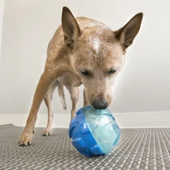 Discount Rewards Tinker M/L 14,5 cm - snacklegetøj til hunde Hundelegetøj Til Alle Hunde Leg Og Aktivering Året Rundt|Legetøj Til Hvalpe - Sjov Leg, Aktivering Og Tryghed Fra Første Dag