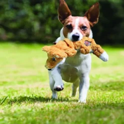 Online Scrunch Knots Squirrel M/L - egern med reb og squeaker Hundelegetøj Til Alle Hunde Leg Og Aktivering Året Rundt|Legetøj Til Hvalpe - Sjov Leg, Aktivering Og Tryghed Fra Første Dag