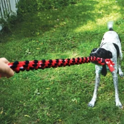 Hot Signature Reb Dobbelt Ring 59 cm Flerfarvet - hundelegetøj Hundelegetøj Til Alle Hunde Leg Og Aktivering Året Rundt|Legetøj Til Hvalpe - Sjov Leg, Aktivering Og Tryghed Fra Første Dag