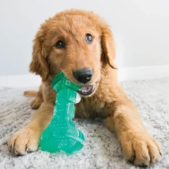 Outlet Squeezz Dental Stick Grøn M 19 cm - pivelegetøj med tandpleje Hundelegetøj Til Alle Hunde Leg Og Aktivering Året Rundt|Legetøj Til Hvalpe - Sjov Leg, Aktivering Og Tryghed Fra Første Dag