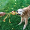 Online Wubba Weaves L 38 cm Mix - hundelegetøj Hundelegetøj Til Alle Hunde Leg Og Aktivering Året Rundt|Legetøj Til Hvalpe - Sjov Leg, Aktivering Og Tryghed Fra Første Dag