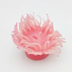 Sale Kunstig koral Heteractis crispa M (Pink) Dekoration Til Saltvand