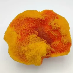 Outlet Kunstig koral Turbinaria reniformis (Orange) 17x16x7 cm Dekoration Til Saltvand