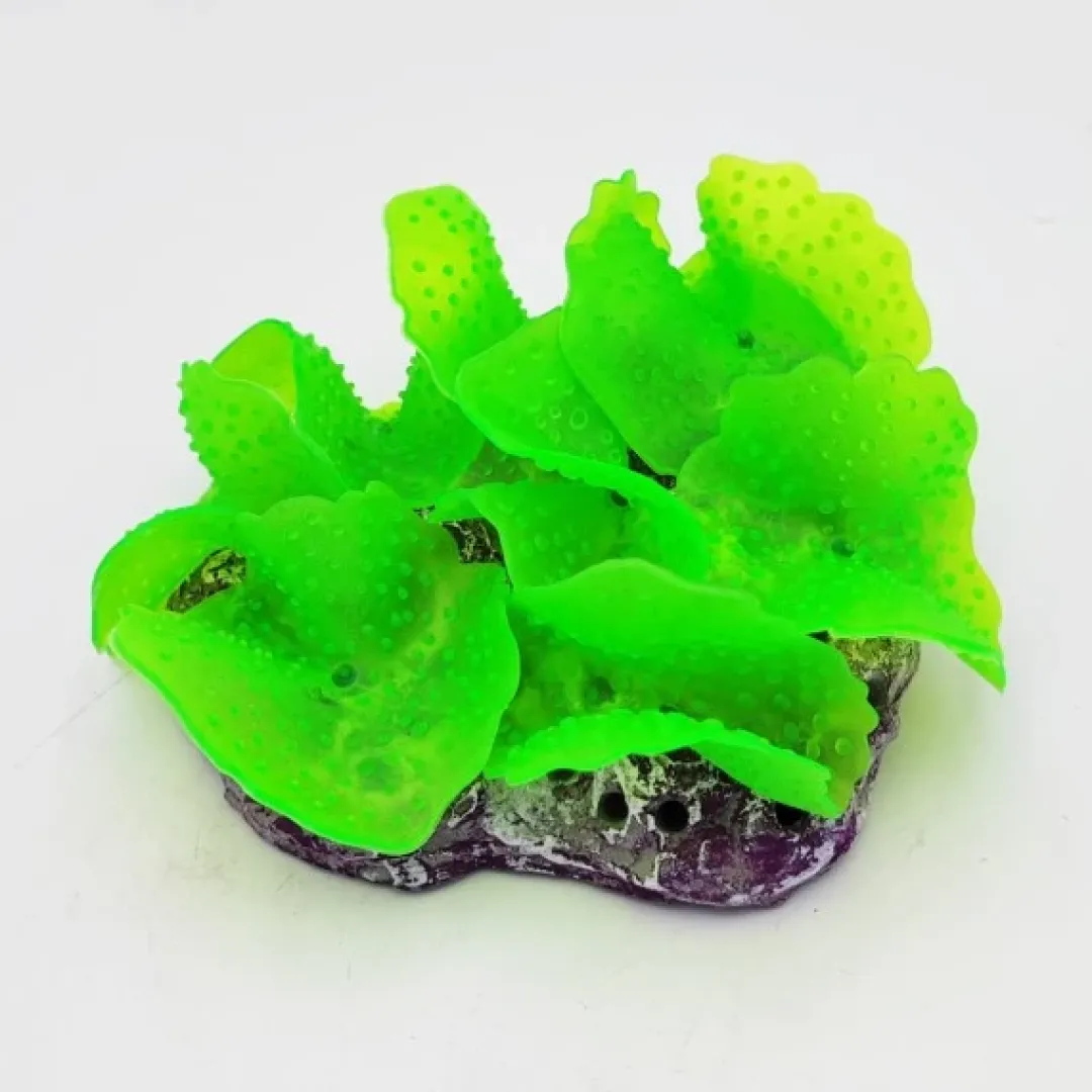 Best Kunstig koral Ulva lactuca (Green) 12x9x4 cm Dekoration Til Saltvand