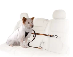 Auto Zip Line Transport Og Adgang Til Hvalpe - Tryg Og Nem Hverdag|Transport Og Adgang For Hunde - Tryg Og Nem Hverdag