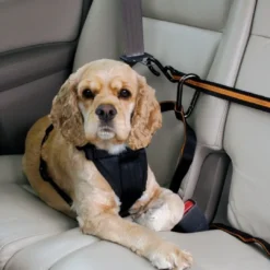 Auto Zip Line Transport Og Adgang Til Hvalpe - Tryg Og Nem Hverdag|Transport Og Adgang For Hunde - Tryg Og Nem Hverdag
