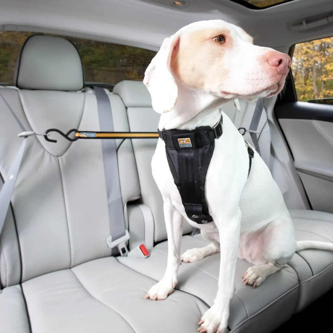 Auto Zip Line Transport Og Adgang Til Hvalpe - Tryg Og Nem Hverdag|Transport Og Adgang For Hunde - Tryg Og Nem Hverdag
