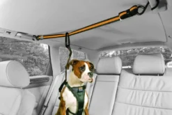 Auto Zip Line Transport Og Adgang Til Hvalpe - Tryg Og Nem Hverdag|Transport Og Adgang For Hunde - Tryg Og Nem Hverdag