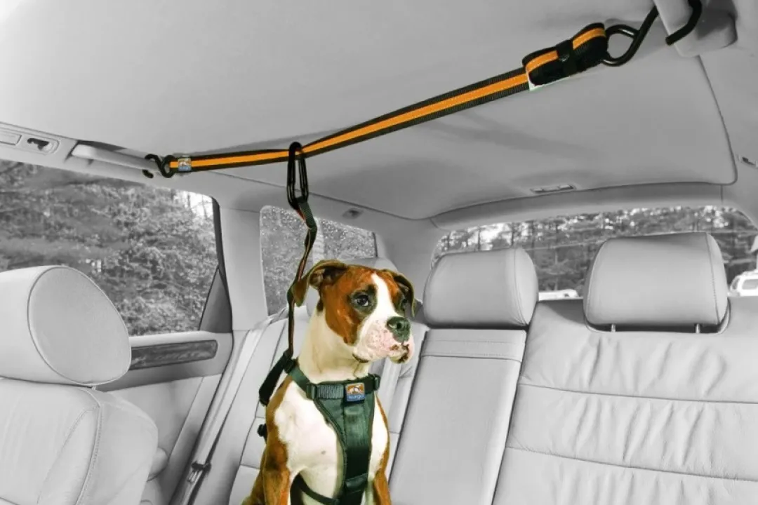 Auto Zip Line Transport Og Adgang Til Hvalpe - Tryg Og Nem Hverdag|Transport Og Adgang For Hunde - Tryg Og Nem Hverdag