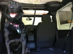 Auto Zip Line Transport Og Adgang Til Hvalpe - Tryg Og Nem Hverdag|Transport Og Adgang For Hunde - Tryg Og Nem Hverdag