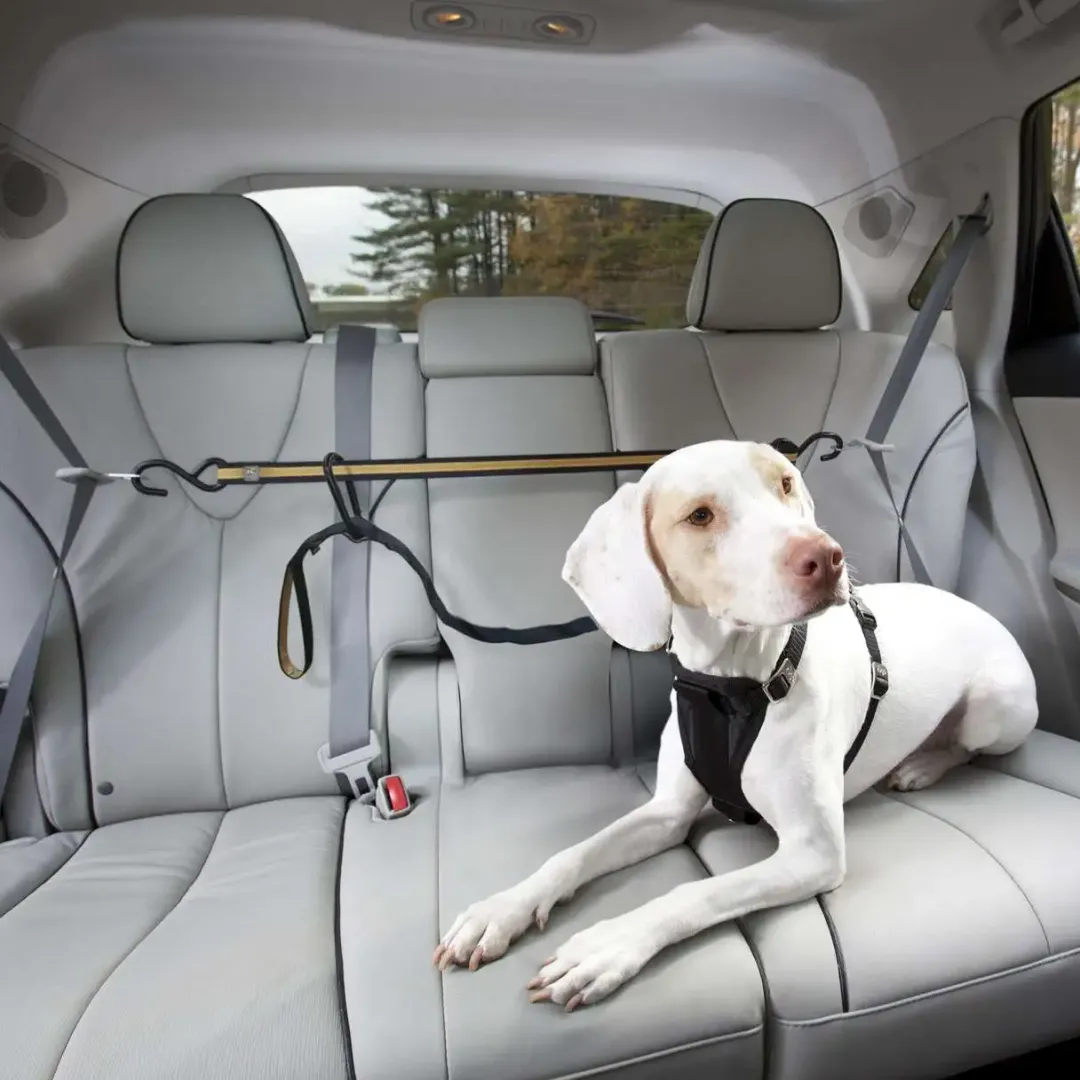 Auto Zip Line Transport Og Adgang Til Hvalpe - Tryg Og Nem Hverdag|Transport Og Adgang For Hunde - Tryg Og Nem Hverdag