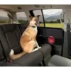 Outlet Bagsæde opbevaring og skillerum Transport Og Adgang Til Hvalpe - Tryg Og Nem Hverdag|Transport Og Adgang For Hunde - Tryg Og Nem Hverdag