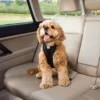 Clearance TRU-FIT Smart Sikkerhedssele XS Transport Og Adgang Til Hvalpe - Tryg Og Nem Hverdag|Transport Og Adgang For Hunde - Tryg Og Nem Hverdag