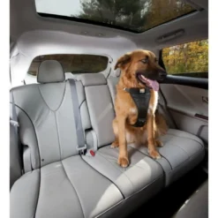 Clearance TRU-FIT Smart Sikkerhedssele XS Transport Og Adgang Til Hvalpe - Tryg Og Nem Hverdag|Transport Og Adgang For Hunde - Tryg Og Nem Hverdag