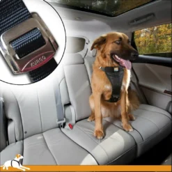 Clearance TRU-FIT Smart Sikkerhedssele XS Transport Og Adgang Til Hvalpe - Tryg Og Nem Hverdag|Transport Og Adgang For Hunde - Tryg Og Nem Hverdag
