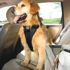 Clearance TRU-FIT Smart Sikkerhedssele XS Transport Og Adgang Til Hvalpe - Tryg Og Nem Hverdag|Transport Og Adgang For Hunde - Tryg Og Nem Hverdag