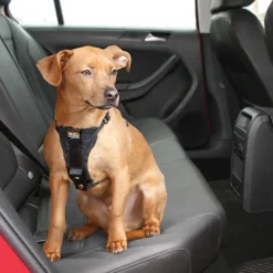 Clearance TRU-FIT Smart Sikkerhedssele XS Transport Og Adgang Til Hvalpe - Tryg Og Nem Hverdag|Transport Og Adgang For Hunde - Tryg Og Nem Hverdag