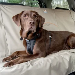 Discount TRU-FIT Smart Sikkerhedssele Large Transport Og Adgang Til Hvalpe - Tryg Og Nem Hverdag|Transport Og Adgang For Hunde - Tryg Og Nem Hverdag