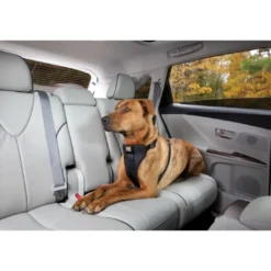 Discount TRU-FIT Smart Sikkerhedssele Large Transport Og Adgang Til Hvalpe - Tryg Og Nem Hverdag|Transport Og Adgang For Hunde - Tryg Og Nem Hverdag