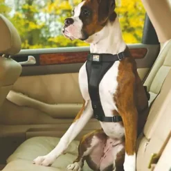 Discount TRU-FIT Smart Sikkerhedssele XL Transport Og Adgang Til Hvalpe - Tryg Og Nem Hverdag|Transport Og Adgang For Hunde - Tryg Og Nem Hverdag