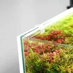 Discount LED Lys Baggrund til akvariet 30x30x1 cm Akvariebaggrunde