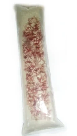 Discount Levende Røde myggelarver 90 ml (levende foder - Bloodworms) 5 stk Fiskefoder Til Ferskvandsfisk