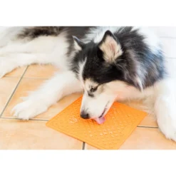 Online Slikkemåtte 28 x 28 cm Grøn - aktiveringsmåtte til hunde Killingelegetøj - Sjov, Træning Og Aktivering For Killinger|Hundelegetøj Til Alle Hunde Leg Og Aktivering Året Rundt