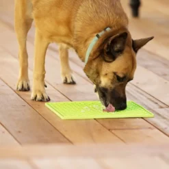 Online Slikkemåtte 28 x 28 cm Grøn - aktiveringsmåtte til hunde Killingelegetøj - Sjov, Træning Og Aktivering For Killinger|Hundelegetøj Til Alle Hunde Leg Og Aktivering Året Rundt