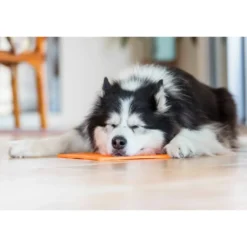 Online Slikkemåtte 28 x 28 cm Grøn - aktiveringsmåtte til hunde Killingelegetøj - Sjov, Træning Og Aktivering For Killinger|Hundelegetøj Til Alle Hunde Leg Og Aktivering Året Rundt