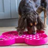 Slowfeeder Slikkeplade 32 cm - slowfeeder plade til hunde Killingelegetøj - Sjov, Træning Og Aktivering For Killinger|Hundelegetøj Til Alle Hunde Leg Og Aktivering Året Rundt