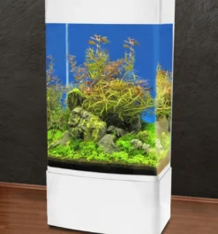 Søjle Akvarium 80 Hvid Akvarier