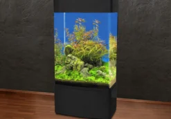 Outlet Søjle Akvarium 80 Sort Akvarier