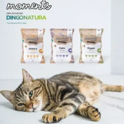 Moments Cat Calm snack 70 g Kattefoder & Snacks|Killingesnacks - Sunde Godbidder Til Killinger