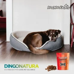 Outlet Moments hundesnack Iberisk skinke 60 g - naturlige hundegodbidder Hundeguf Og Tyggeben Til Hunde