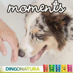 Outlet Moments hundesnack Iberisk skinke 60 g - naturlige hundegodbidder Hundeguf Og Tyggeben Til Hunde