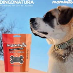 Outlet Moments hundesnack Iberisk skinke 60 g - naturlige hundegodbidder Hundeguf Og Tyggeben Til Hunde