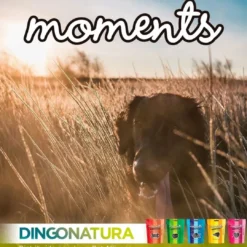 Online Moments hundesnack Kylling og Ost 60 g - naturlige hundegodbidder Hundeguf Og Tyggeben Til Hunde