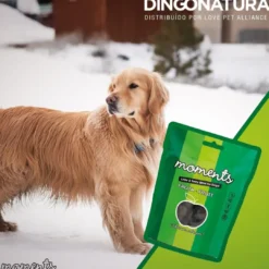 Clearance Moments hundesnack Kylling og Frugt 60 g - fuldfoder hundegodbidder Hundeguf Og Tyggeben Til Hunde