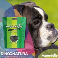 Clearance Moments hundesnack Kylling og Frugt 60 g - fuldfoder hundegodbidder Hundeguf Og Tyggeben Til Hunde