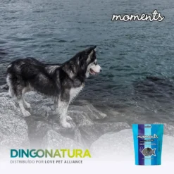 Best Moments hundesnack Laks 60 g - fuldfoder hundesnacks Hundeguf Og Tyggeben Til Hunde