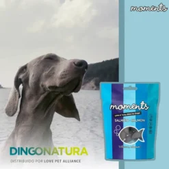 Best Moments hundesnack Laks 60 g - fuldfoder hundesnacks Hundeguf Og Tyggeben Til Hunde