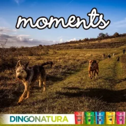 Sale Moments hundesnack Puppy 60 g - blød træning til hvalpe Snacks Til Hvalpe - Lækre Godbidder Til Træning Og Forkælelse|Hundeguf Og Tyggeben Til Hunde