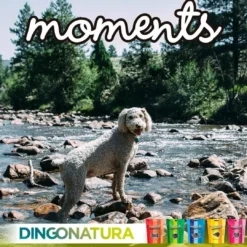 Sale Moments hundesnack Puppy 60 g - blød træning til hvalpe Snacks Til Hvalpe - Lækre Godbidder Til Træning Og Forkælelse|Hundeguf Og Tyggeben Til Hunde