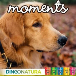 Sale Moments hundesnack Puppy 60 g - blød træning til hvalpe Snacks Til Hvalpe - Lækre Godbidder Til Træning Og Forkælelse|Hundeguf Og Tyggeben Til Hunde